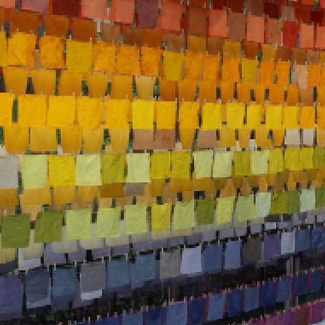 02 ESTUDIO color lab MOSAICO IMG_0007.jpg